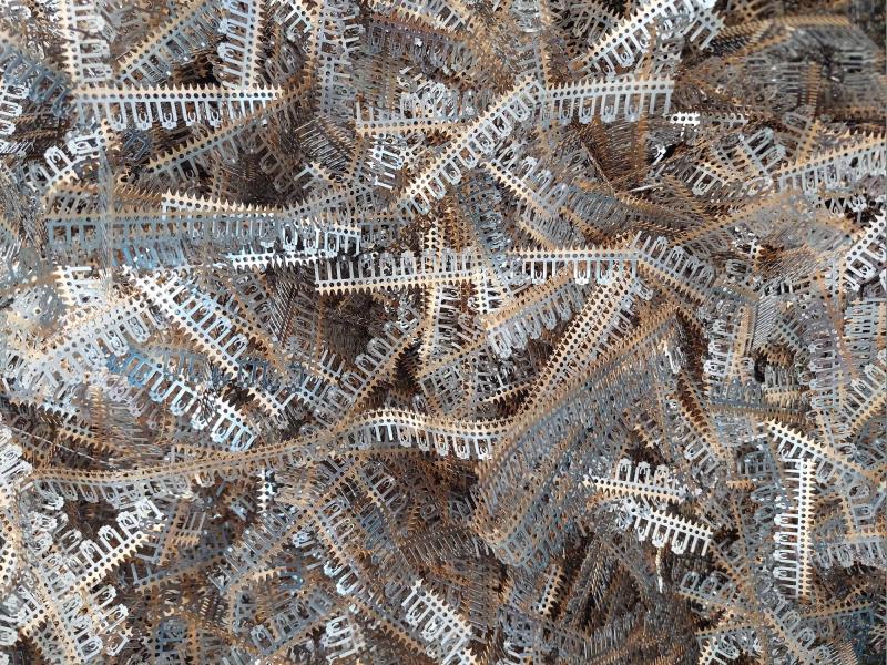 782 Piny 50 % Au 782 Piny 50 % Au